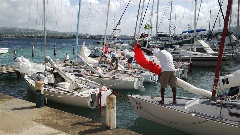 Jamin Jamaica J/22 Regatta photo copyright Jamin Jamaica J / 22 Regatta taken at Montego Bay Yacht Club and featuring the J/22 class