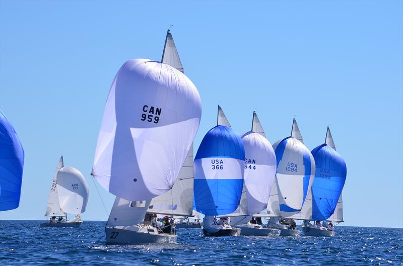 J/22 Worlds 2013 day 1 photo copyright Christopher E. Howell taken at Sail Newport and featuring the J/22 class