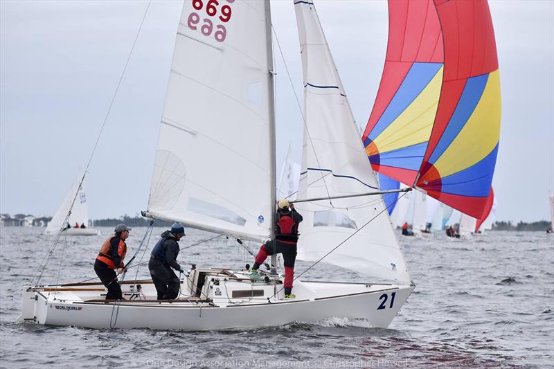 Sail Southern J/22, 55 OFF www.gbupresnenskij.ru