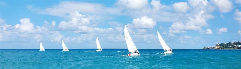 33rd Annual Jamin J/22 Regatta photo copyright 33rd Annual Jamin J/22 Regatta taken at Montego Bay Yacht Club and featuring the J/22 class