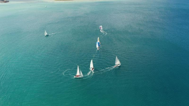 33rd Annual Jamin J/22 Regatta photo copyright 33rd Annual Jamin J/22 Regatta taken at Montego Bay Yacht Club and featuring the J/22 class