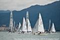 J/24 World Championship at Wakayama, Japan day 3 © Christopher Howell