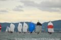 © Christopher Howell J/24 World Championship at Wakayama, Japan day 3 © Christopher Howell