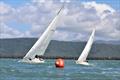 2019 Quicksilver Port Douglas Race Week © Robyn Shelly