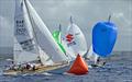 A competitive J/24 fleet is expected for Barbados Sailing Week © Peter Marshall