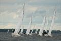 2021 J/24 US National Championship - Final Day © Christopher Howell