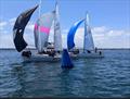 Close finishes show a high standard of racing - Australian J/24 Nationals © J24 Victoria