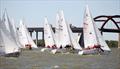 2022 USA J/24 Nationals at Dallas Corinthian Yacht Club © 2022 J/24 U.S. National Championship