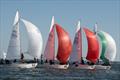 2022 J/24 North American Championship - Day 2 © Christopher Howell