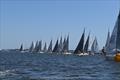 2023 J/24 Midwinter Championship - Final Day © Christopher Howell