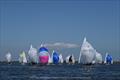 2023 J/24 Midwinter Championship - Final Day © Christopher Howell