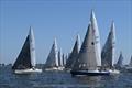 2023 J/24 Midwinter Championship - Final Day © Christopher Howell