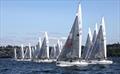 Seattle J/24s racing © Jan Anderson