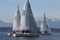 Seattle J/24s racing © Jan Anderson