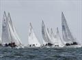 J/24 Worlds in Plymouth, UK - Day 4