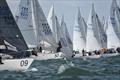 J/24 Worlds in Plymouth, UK - Day 5 © Joe Woodyear & Chambers film & media