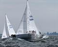‘Checkmate' blasting to windward on day 2, ‘Two Dogs' to leeward during the 2026 J/24 Hodges Sandringham Australian Championship