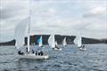 J/24s at the Plymouth Regatta &copy; PPSA