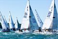 &copy; USA J/24 Class Association