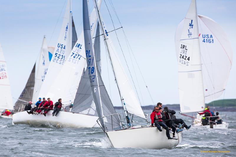 JP McCaldin and the crew of Jamais Encore from Lough Erne win the Mespil Hotel J/24 Irish Nationals at Sligo photo copyright David Branigan / Oceansport taken at Sligo Yacht Club and featuring the J/24 class