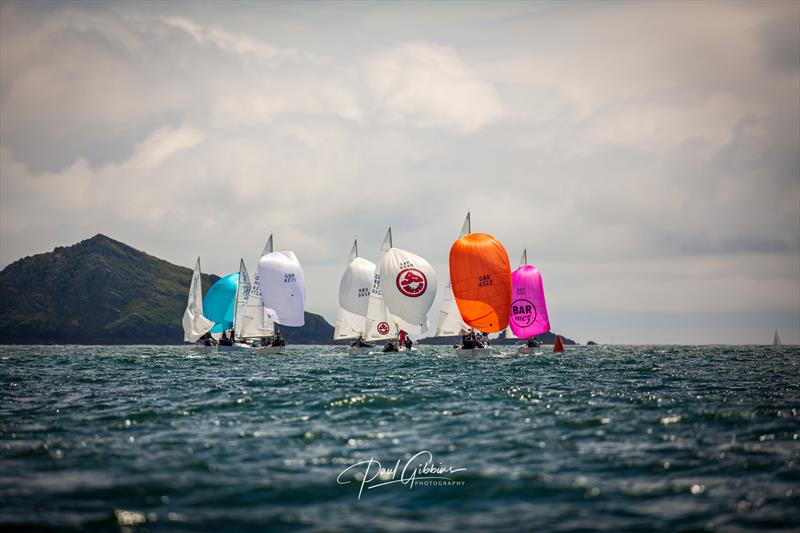 J/24s at the PPSA Port of Plymouth Regatta photo copyright Paul Gibbins Photography taken at Port of Plymouth Sailing Association and featuring the J/24 class