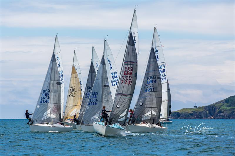 J/24s at the PPSA Port of Plymouth Regatta photo copyright Paul Gibbins Photography taken at Port of Plymouth Sailing Association and featuring the J/24 class