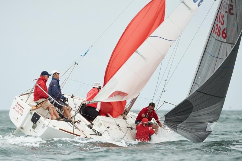 Steve Wright sailed a great regatta, but we all have our moments photo copyright Luis Ferreiro taken at Sandringham Yacht Club and featuring the J/24 class