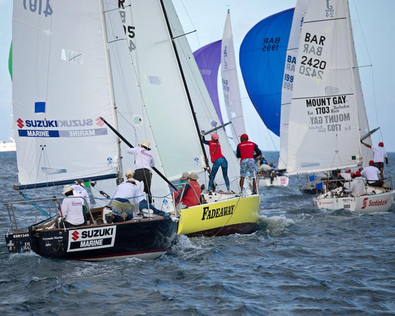 Four J/24 races, four different winners - Barbados Sailing Week 2018 photo copyright Peter Marshall / BSW taken at Barbados Cruising Club and featuring the J/24 class