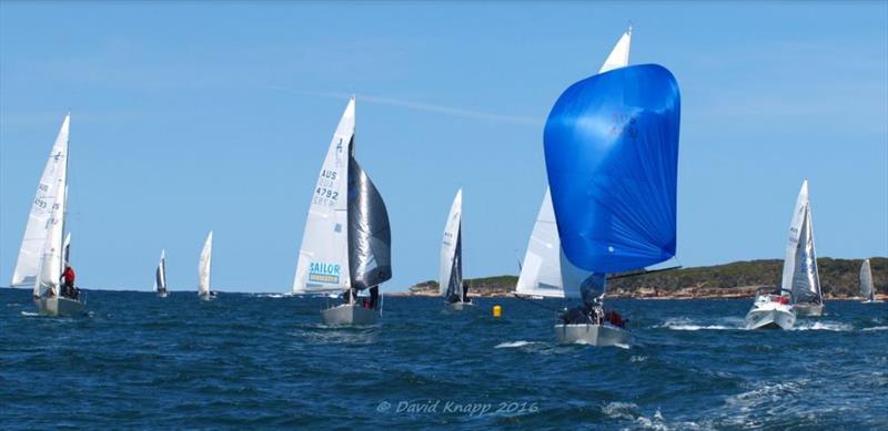 J24 NSW Championships photo copyright David Knapp taken at Cronulla Sailing Club and featuring the J/24 class