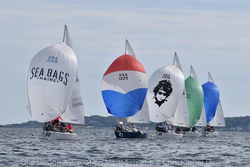 2018 J/24 US National Championship - Day 1 photo copyright Christopher Howell taken at  and featuring the J/24 class