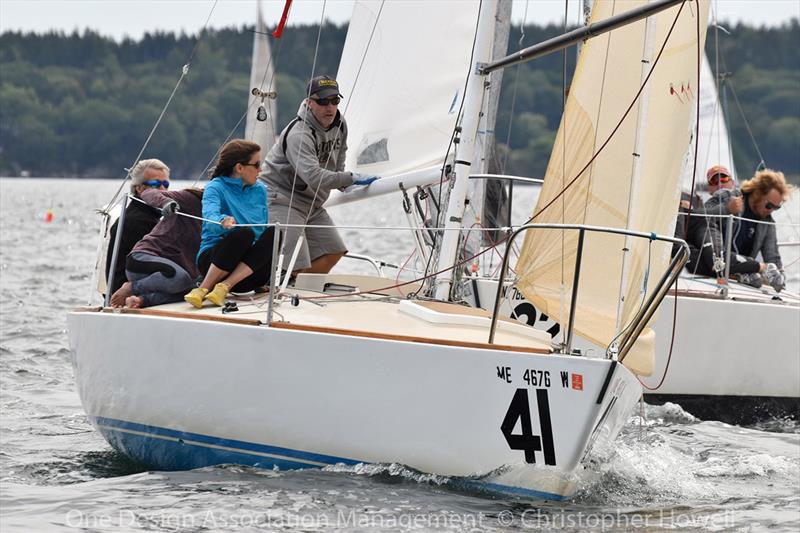 2018 J/24 US National Championship - Day 2 photo copyright Christopher Howell taken at  and featuring the J/24 class