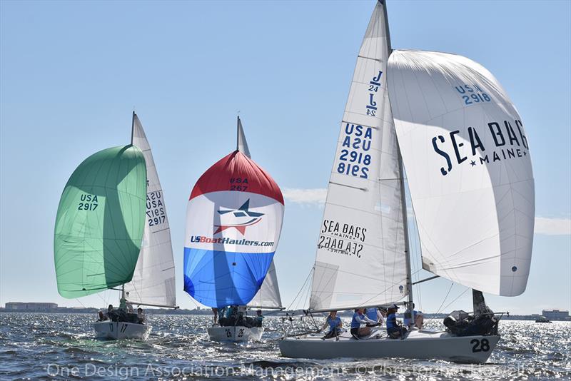 2019 J 24 Midwinter Championship - Day 2 photo copyright Christopher Howell taken at Davis Island Yacht Club and featuring the J/24 class