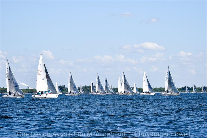 2019 J 24 Midwinter Championship - Day 2 photo copyright Christopher Howell taken at Davis Island Yacht Club and featuring the J/24 class