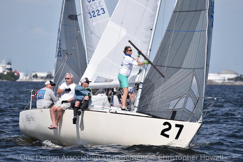 2019 J 24 Midwinter Championship - Day 2 photo copyright Christopher Howell taken at Davis Island Yacht Club and featuring the J/24 class