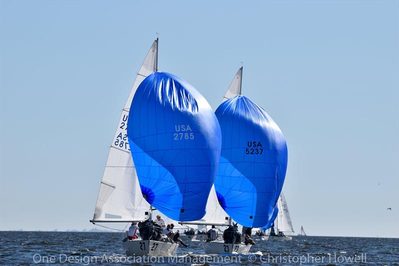 2019 J 24 Midwinter Championship - Day 2 photo copyright Christopher Howell taken at Davis Island Yacht Club and featuring the J/24 class