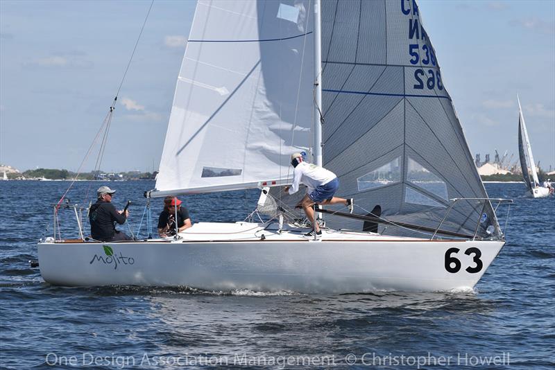 2019 J 24 Midwinter Championship - Day 3 photo copyright Christopher Howell taken at Davis Island Yacht Club and featuring the J/24 class