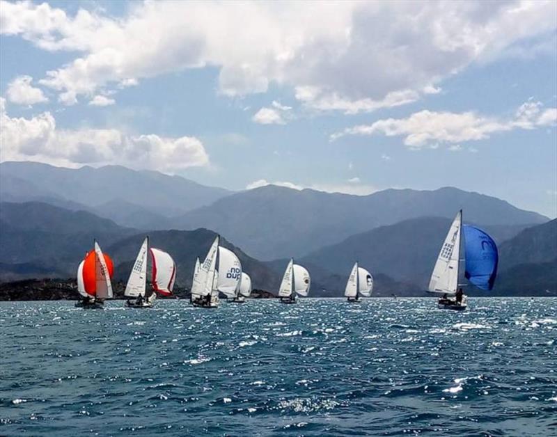 J/24 Campeon del Oeste 2019 photo copyright Argentine J / 24 Class taken at  and featuring the J/24 class
