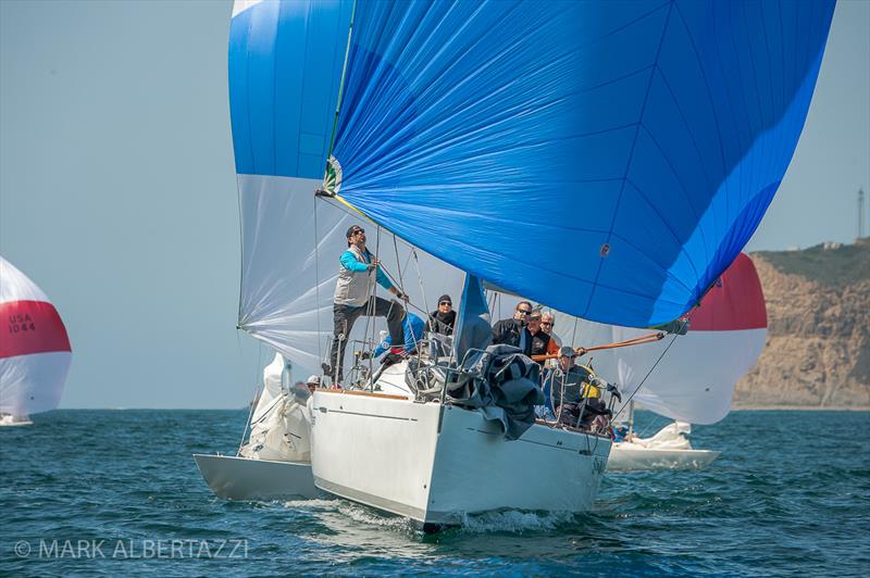 2021 Helly Hansen NOOD Regatta San Diego photo copyright Mark Albertazzi taken at San Diego Yacht Club and featuring the J/24 class