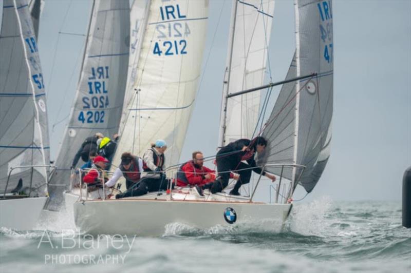 2021 J/24 Easterns Championship photo copyright A.Blaney Photography taken at Howth Yacht Club and featuring the J/24 class