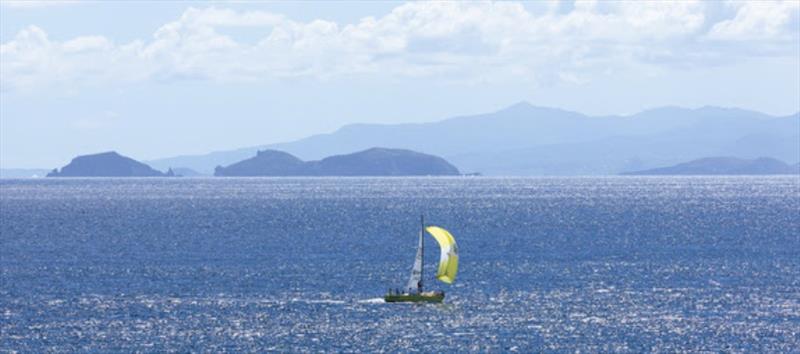 Grenada Sailing Week 2022 photo copyright Grenada Sailing Week taken at  and featuring the J/24 class