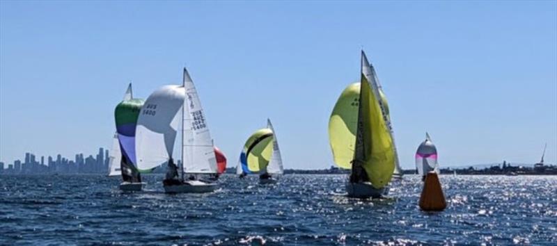 J/24 Victorian State Championship photo copyright Australian J/24 Class taken at Sandringham Yacht Club and featuring the J/24 class