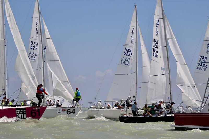 2022 J24 World Championship - Day 2 photo copyright Emily Stokes taken at Corpus Christi Yacht Club and featuring the J/24 class