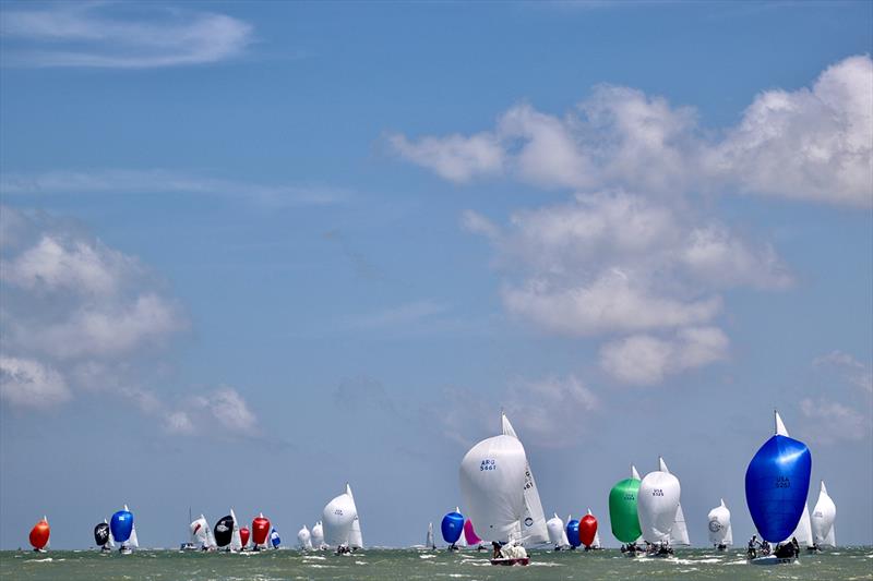 2022 J24 World Championship - Final Day photo copyright Emily Stokes taken at Corpus Christi Yacht Club and featuring the J/24 class