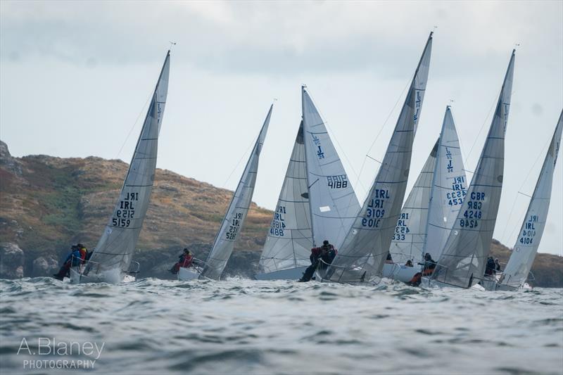 2022 J/24 European Championship day 2 photo copyright Annraoi Blaney taken at Howth Yacht Club and featuring the J/24 class