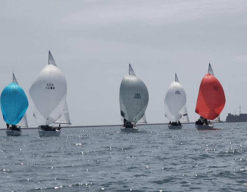 J/24 UK Nationals at Plymouth - photo © Lorna Graham