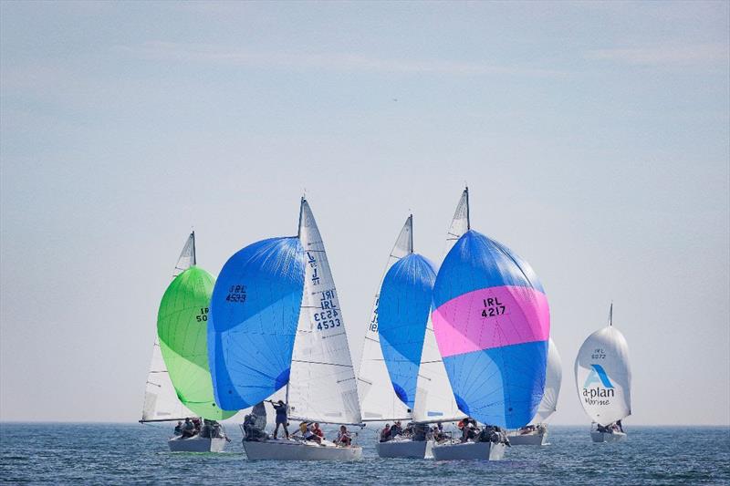 J/24 during the monday.com ICRA National Championships - photo © David Branigan / Oceansport