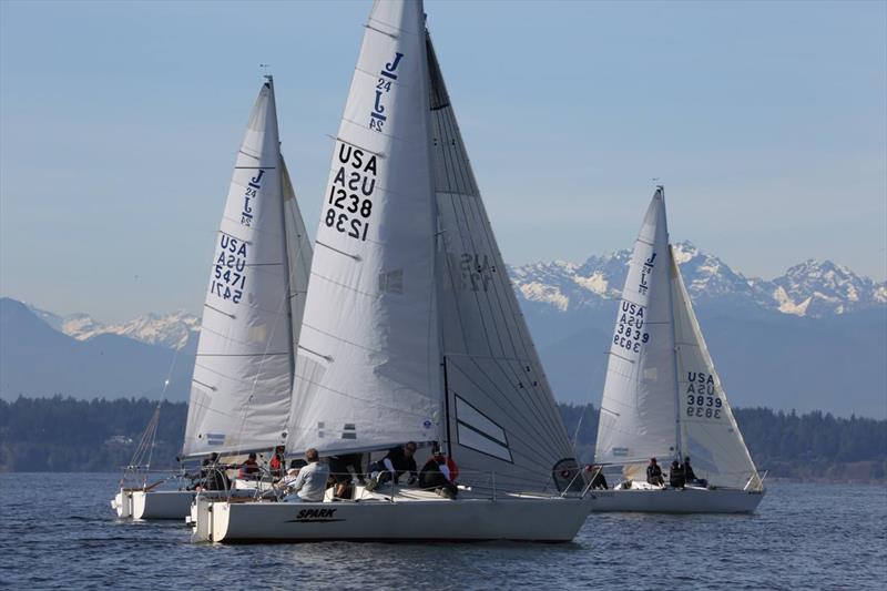 Seattle J/24s racing photo copyright Jan Anderson taken at Corinthian Yacht Club of Seattle and featuring the J/24 class