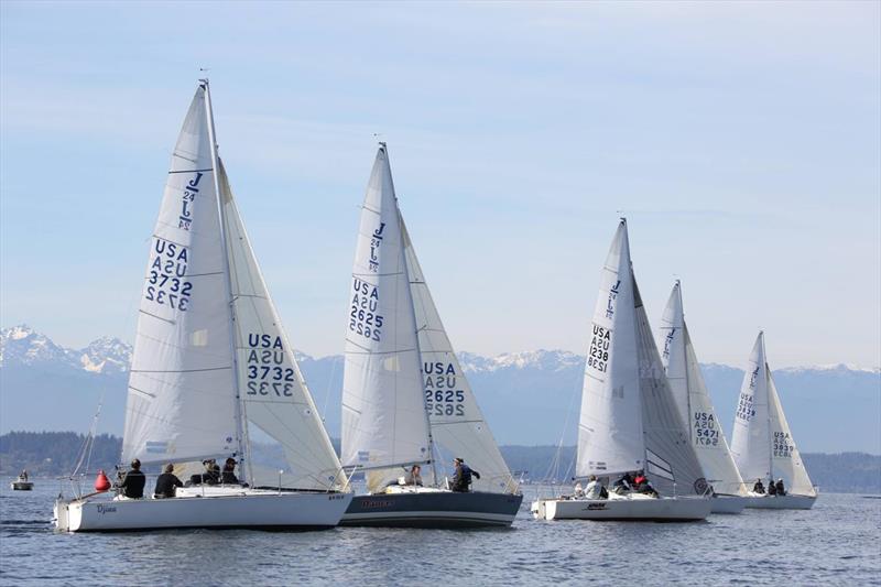 Seattle J/24s racing photo copyright Jan Anderson taken at Corinthian Yacht Club of Seattle and featuring the J/24 class