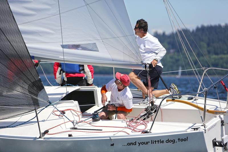 Seattle J/24s racing photo copyright Jan Anderson taken at Corinthian Yacht Club of Seattle and featuring the J/24 class