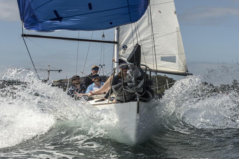 James Bednaic's J24 Calypso ploughs downwind - Nautilus Marine Insurance Sydney Harbour Regatta photo copyright Margaret Fraser-Martin taken at Middle Harbour Yacht Club and featuring the J/24 class